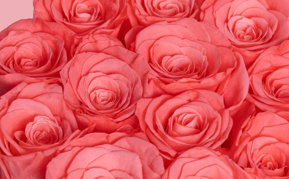 pink forever roses