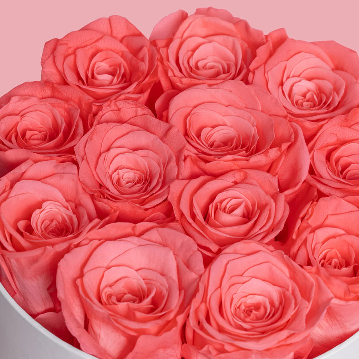 12 Pink Forever Roses in White Box - VLove