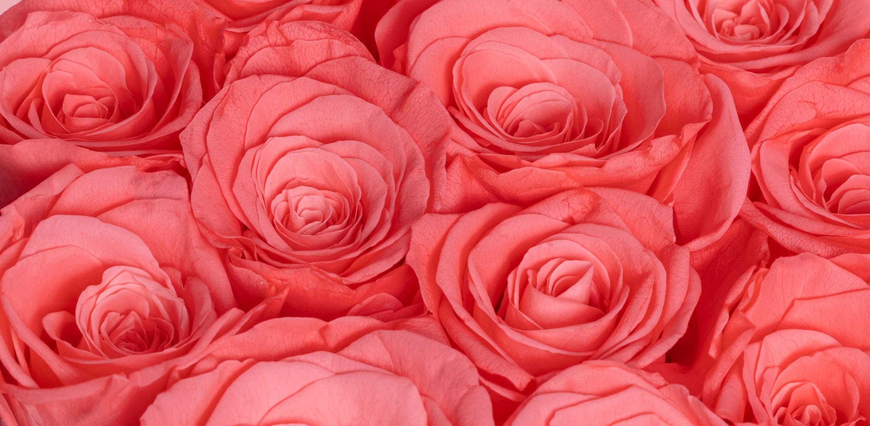 Mother's Day Gift Guide: The Art of Timeless Giving