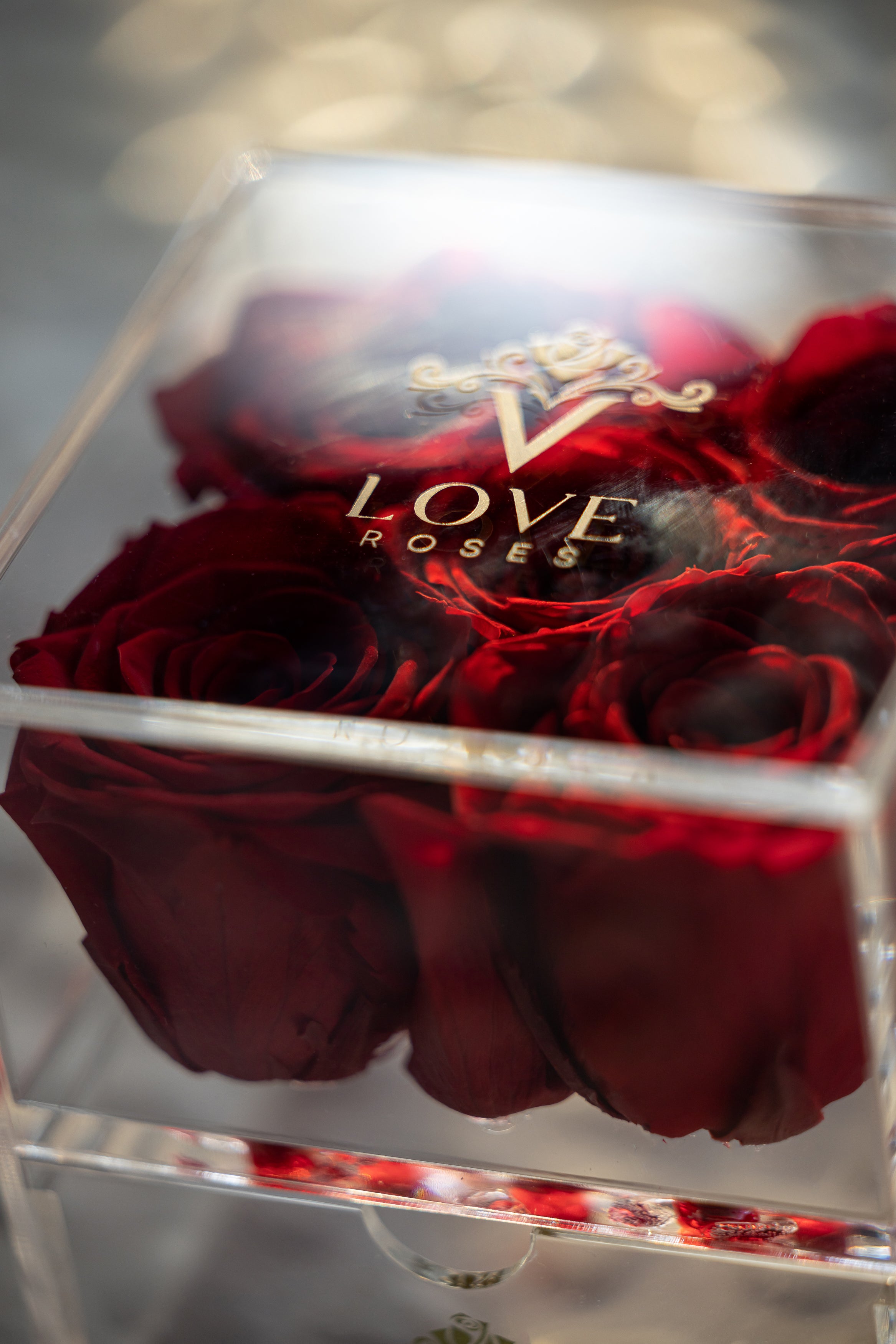 Preserved Roses