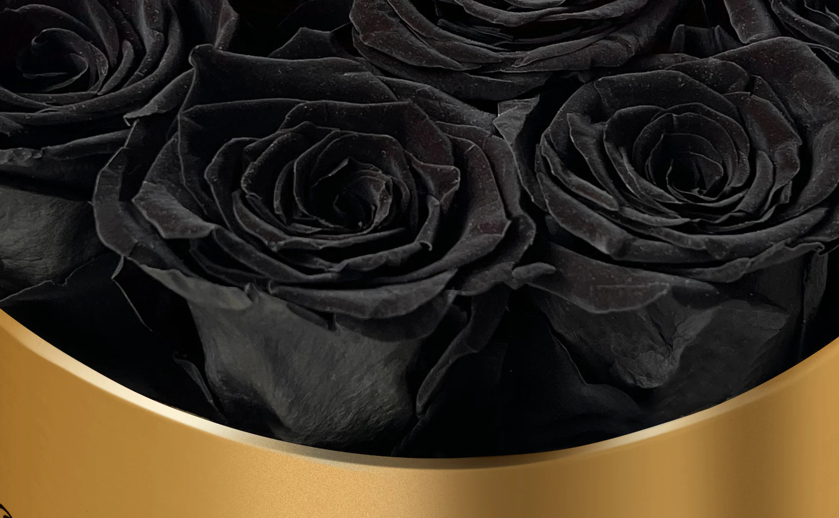 Black Roses