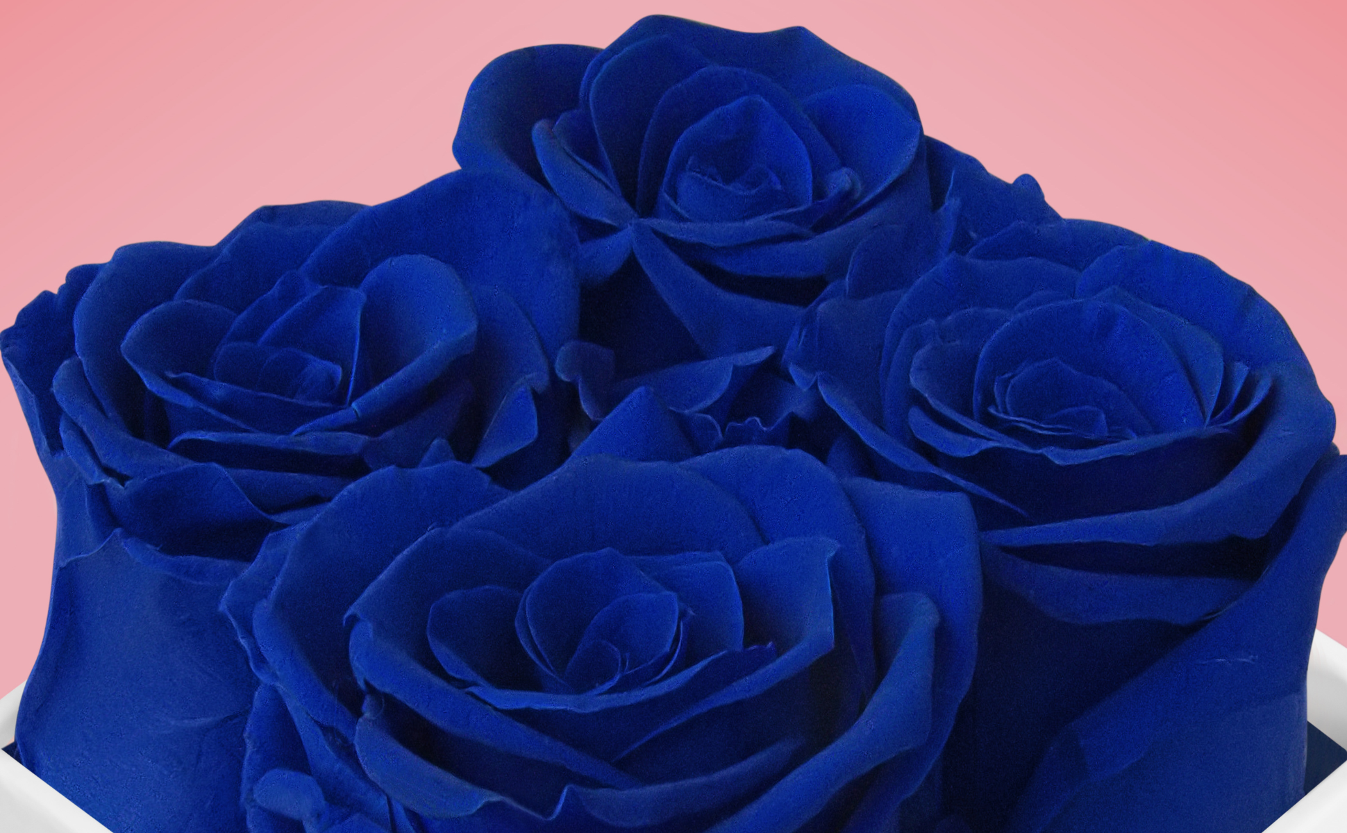 Blue Forever Roses - VLove