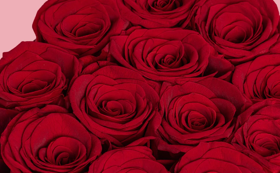 red forever roses