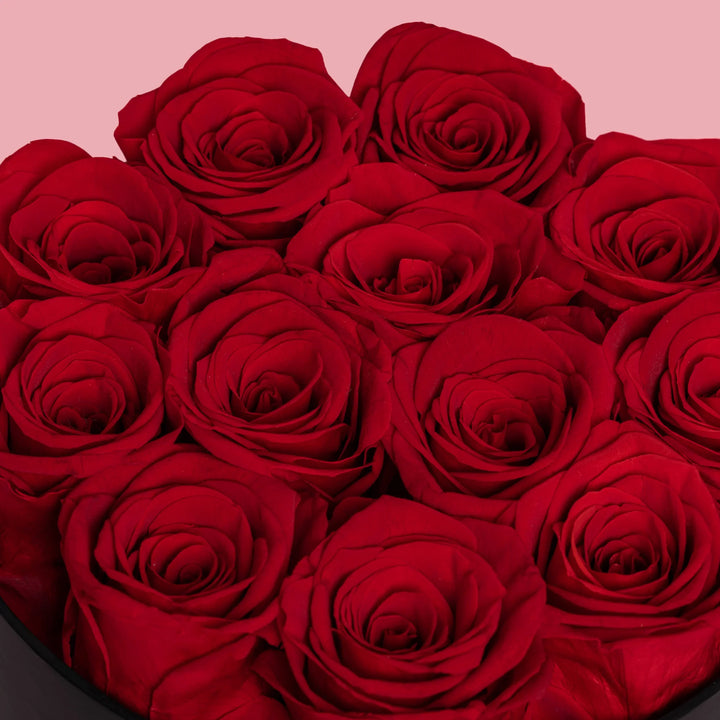 12 Red Forever Roses in Black Box - VLove