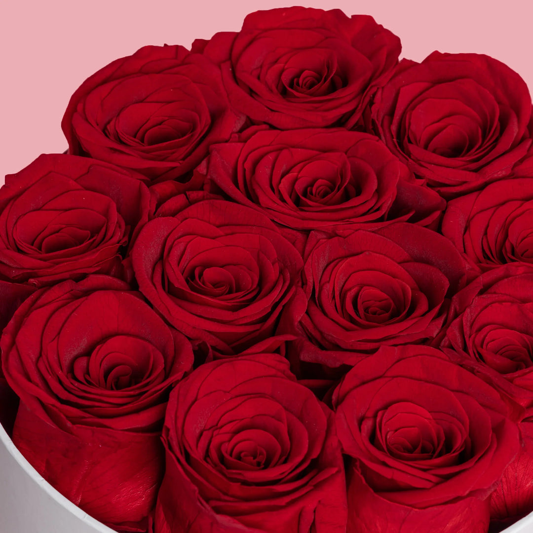 12 Red Forever Roses White Box - VLove