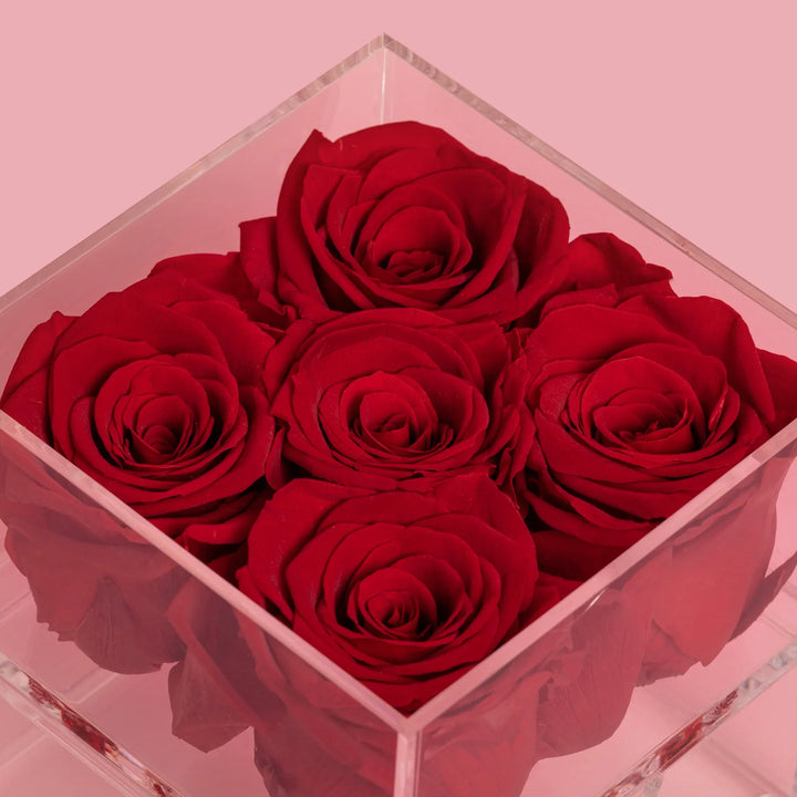 5 Red Forever Roses in Acrylic Jewelry Box - VLove
