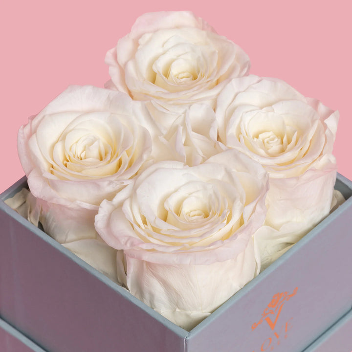 4 White Forever Roses in Blue Box - VLove