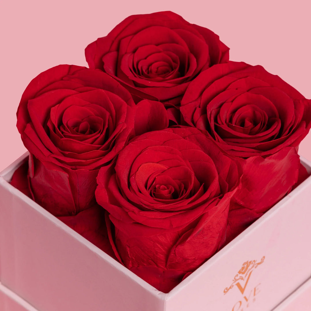  4 Red Forever Roses in Pink Box - VLove