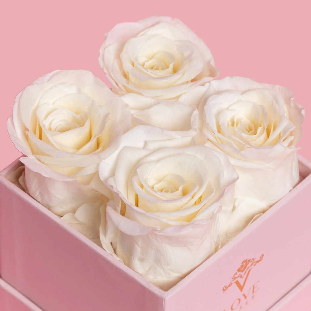 4 White Forever Roses in Pink Box - VLove