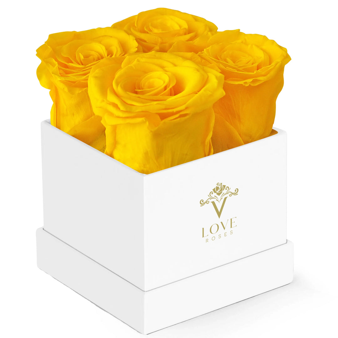 4 White Forever Roses in White Box - VLove