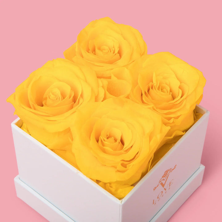 4 White Forever Roses in White Box - VLove