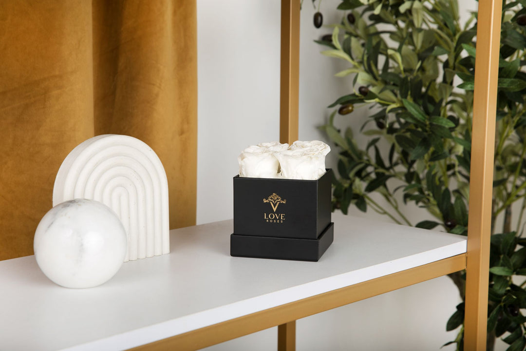4 White Forever Roses in Black Box - VLove