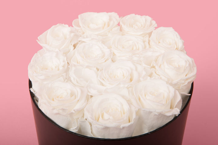 12 White Forever Roses in Black Box - VLove