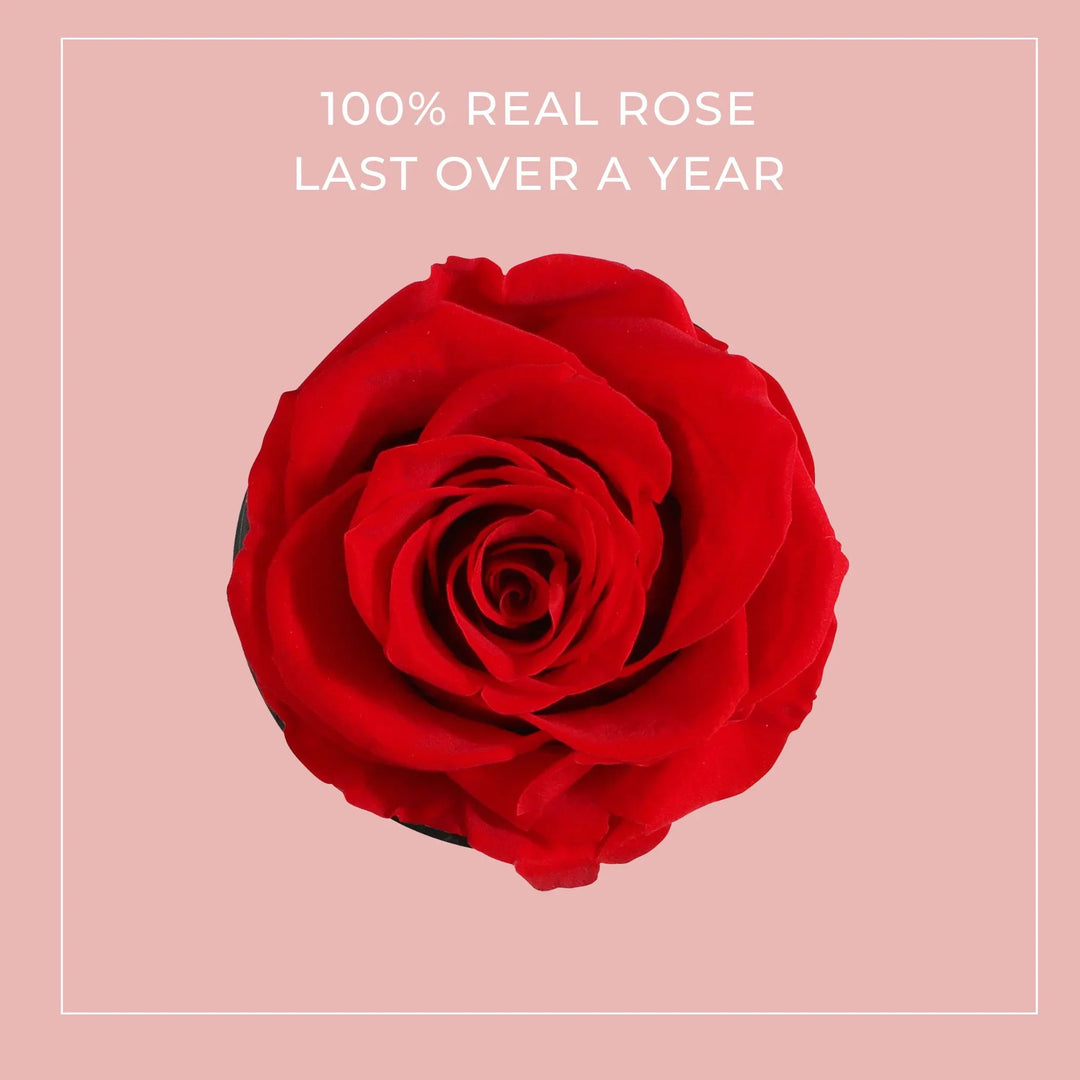 1 Forever Rose in Black Box - VLove